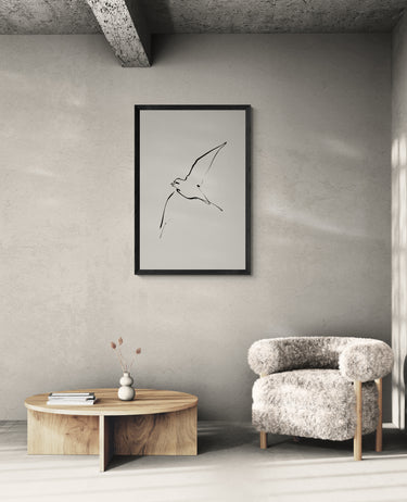 Soaring Freedom