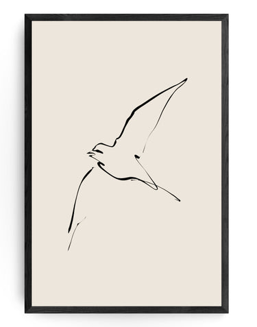 Soaring Freedom