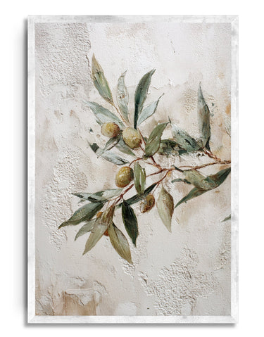 Olive & Earth