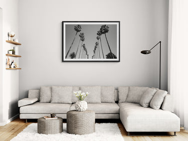 Vertical Silhouettes