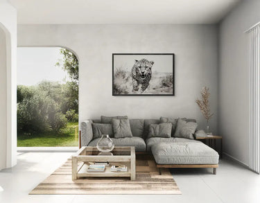 Velocity in Monochrome