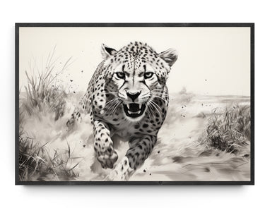 Velocity in Monochrome