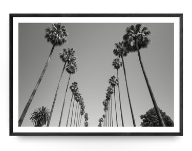 Vertical Silhouettes