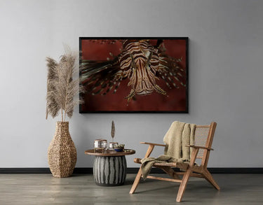 Lionfish