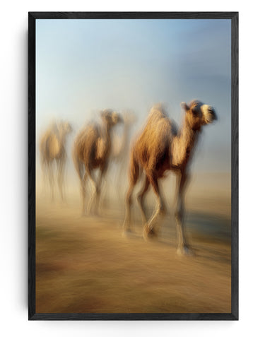 Journey of the Sand