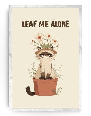 Grumpy Bloom